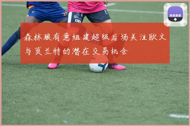 森林狼有意组建超级后场关注欧文与莫兰特的潜在交易机会